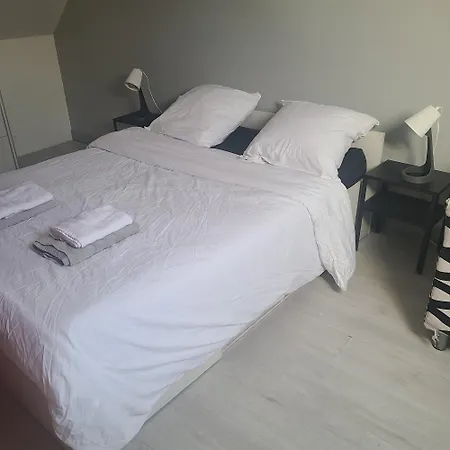 Grande Maison Avec 5 - Entree Autonome Brest